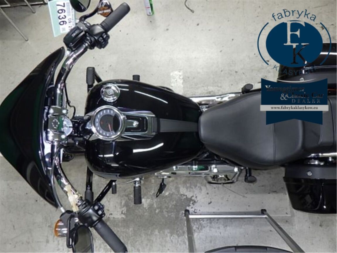 HARLEY-DAVIDSON FLSB1750 2025 - zdjęcie 33