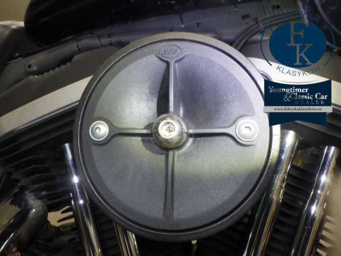 HARLEY-DAVIDSON XL883N 2011 - zdjęcie 10