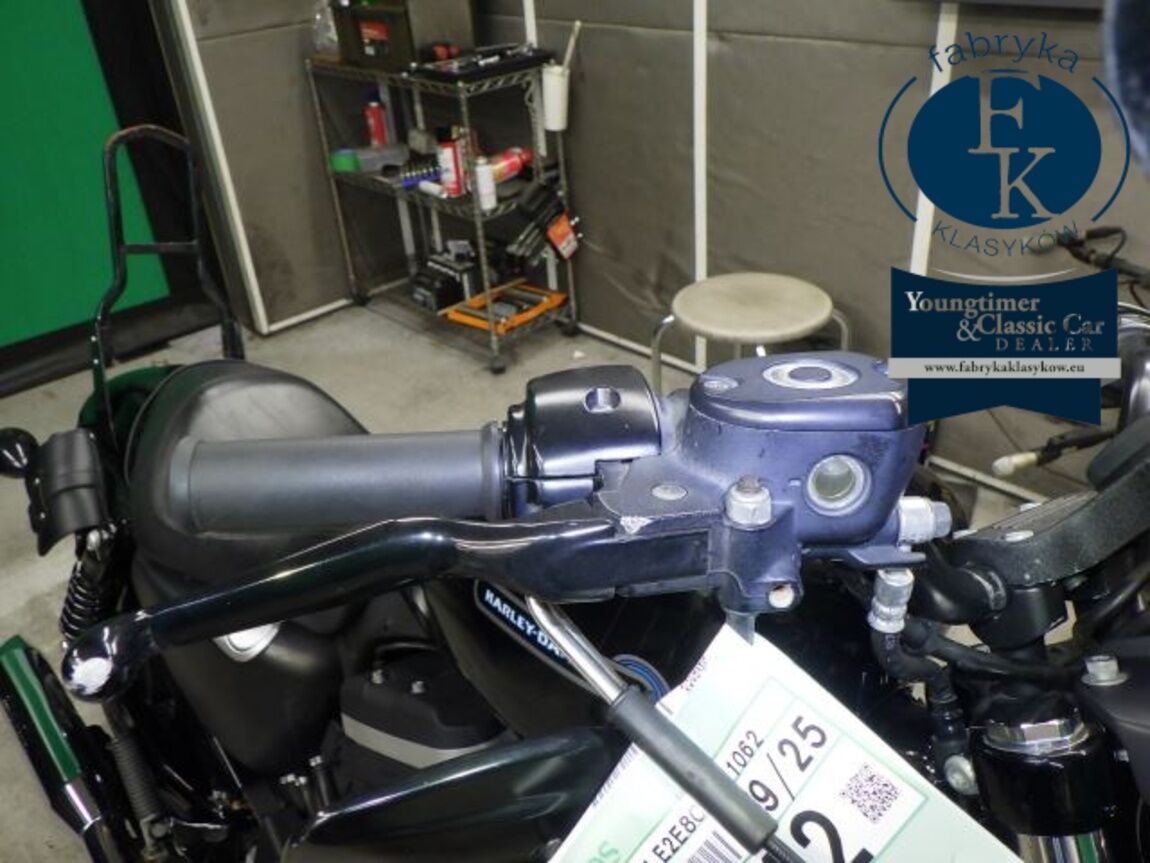 HARLEY-DAVIDSON XL883N 2011 - zdjęcie 21