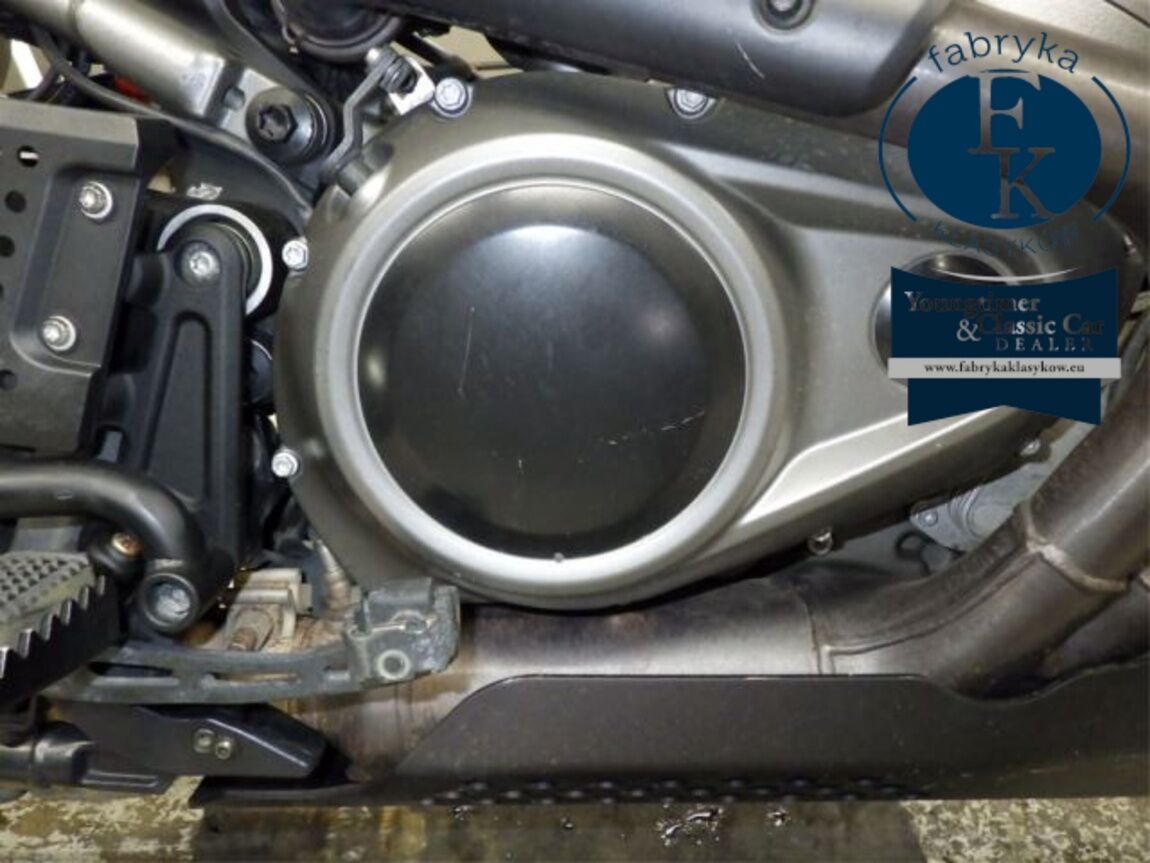 HARLEY-DAVIDSON PAN AMERICA 1250S 2022 - zdjęcie 9