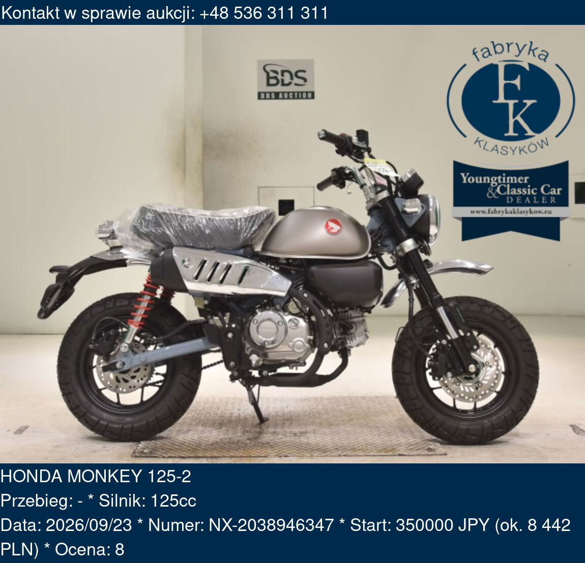 HONDA MONKEY 125-2  - zdjęcie 2