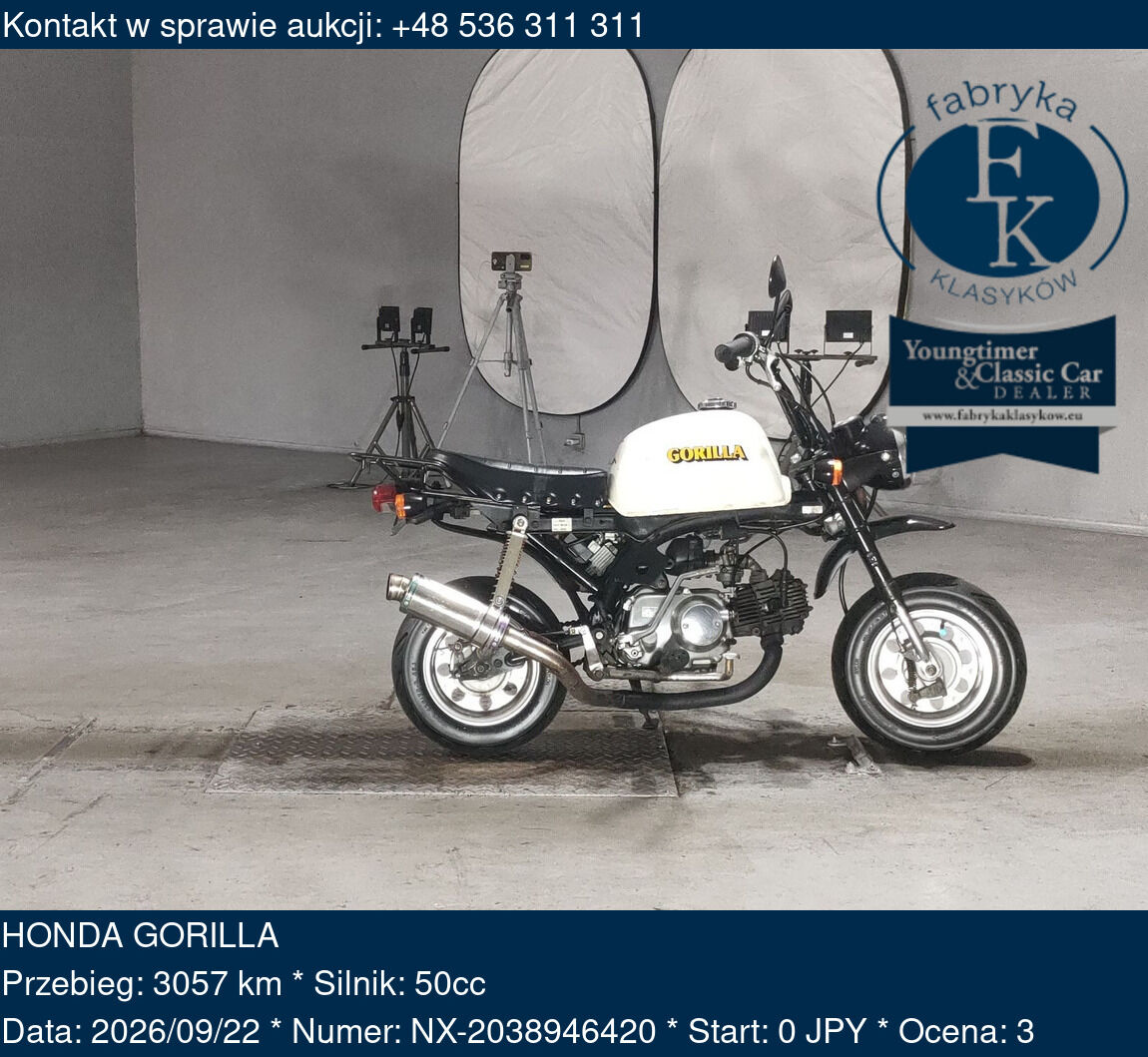 HONDA GORILLA  - zdjęcie 2