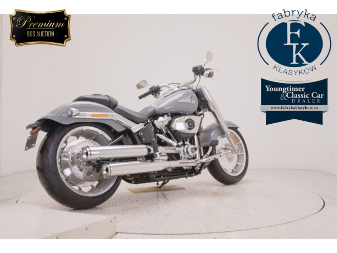 HARLEY-DAVIDSON FLFB1920 2026 - zdjęcie 6