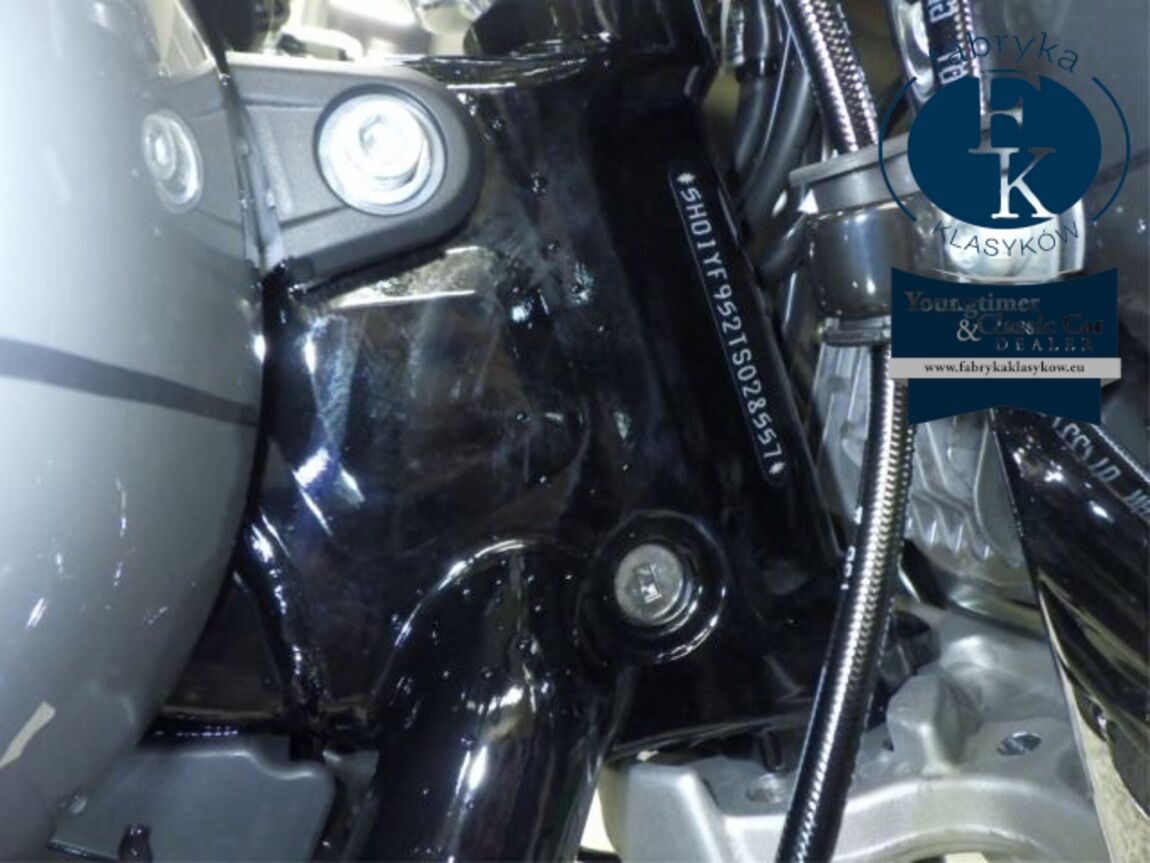 HARLEY-DAVIDSON FLFB1920 2026 - zdjęcie 31
