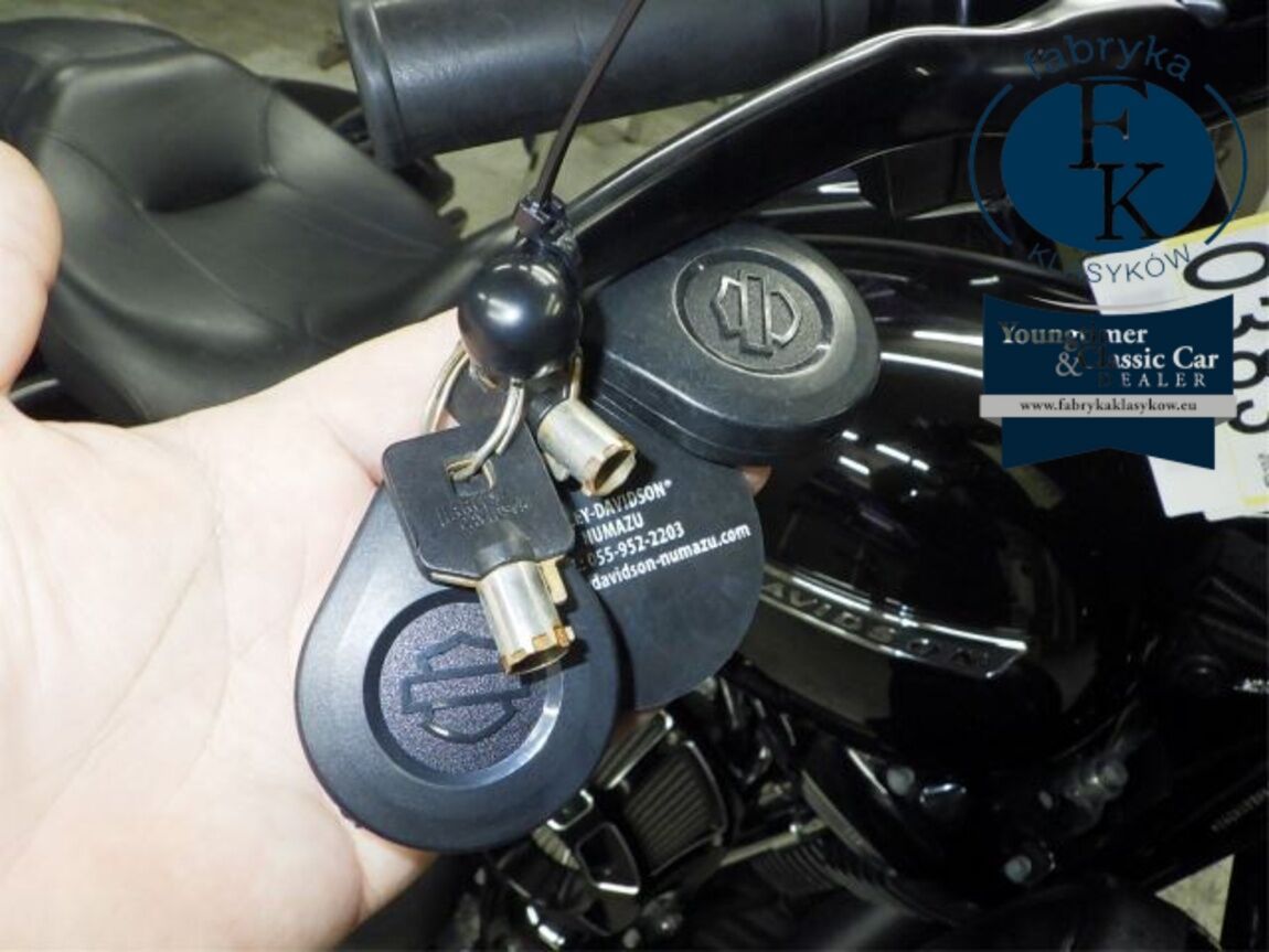 HARLEY-DAVIDSON FLHXS1870 2018 - zdjęcie 14