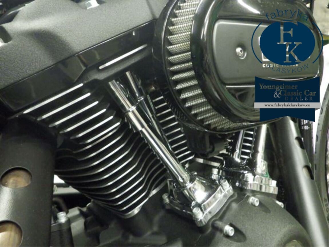 HARLEY-DAVIDSON FXBBS1870 2021 - zdjęcie 9