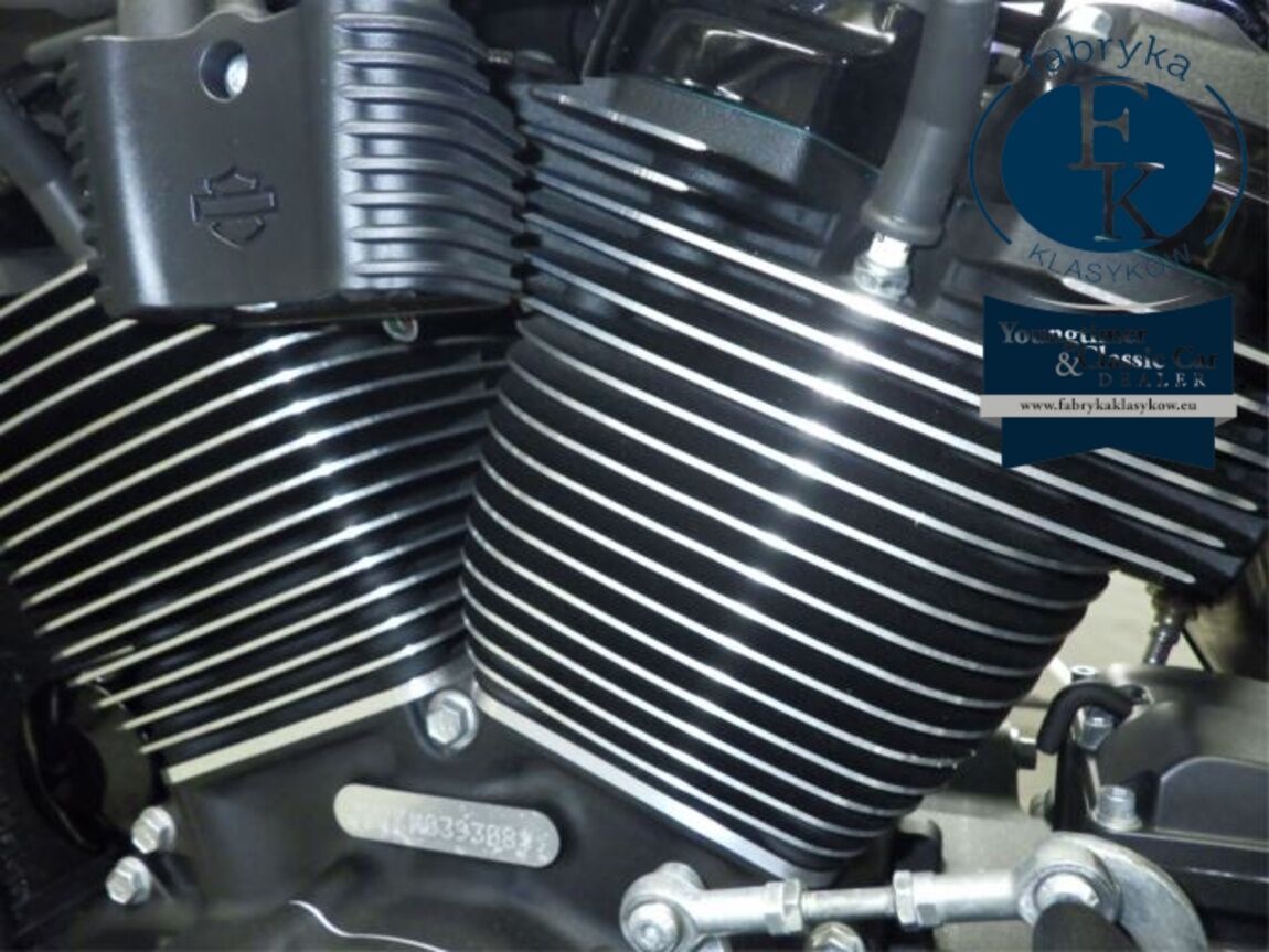 HARLEY-DAVIDSON FXBBS1870 2021 - zdjęcie 12