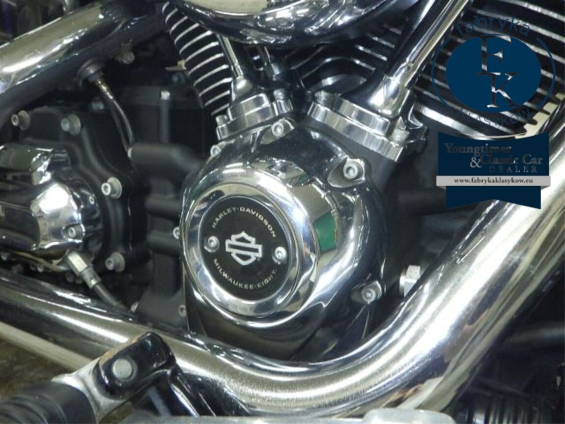 HARLEY-DAVIDSON FXLR1750 2018 - zdjęcie 9