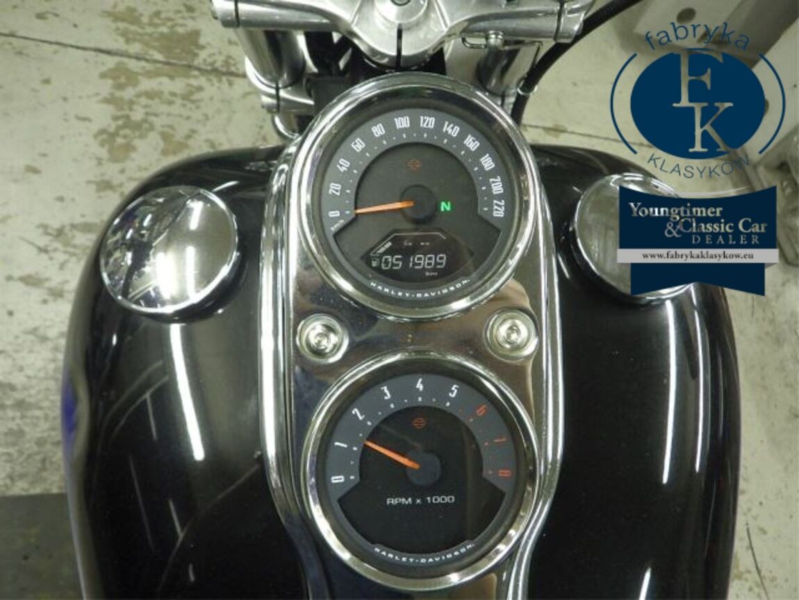 HARLEY-DAVIDSON FXLR1750 2018 - zdjęcie 16