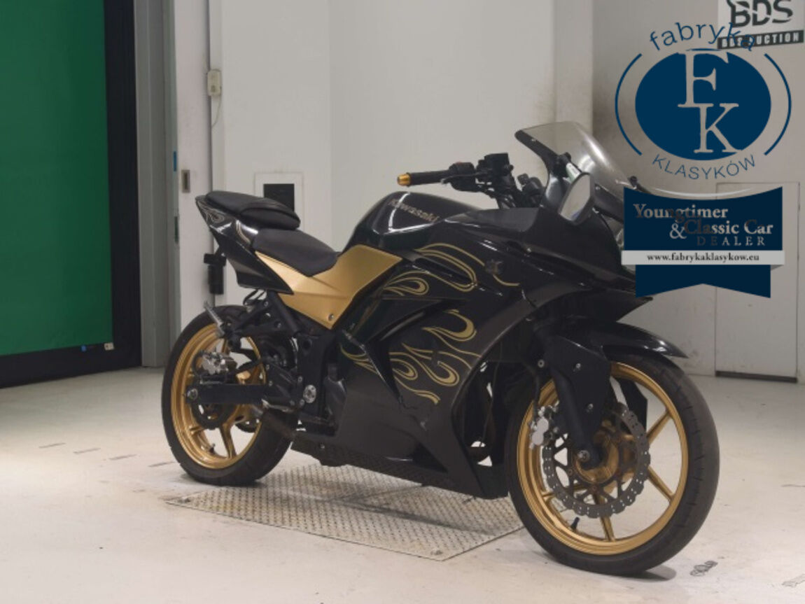 KAWASAKI NINJA250R  - zdjęcie 4