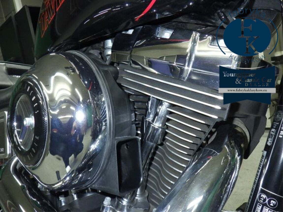 HARLEY-DAVIDSON FXDL1580 2014 - zdjęcie 9
