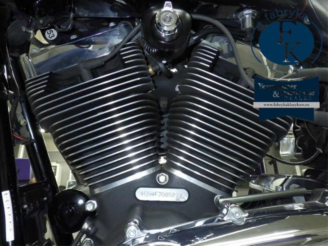 HARLEY-DAVIDSON FXDL1580 2014 - zdjęcie 11