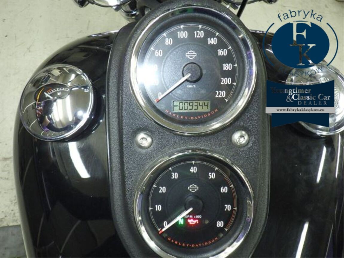 HARLEY-DAVIDSON FXDL1580 2014 - zdjęcie 13