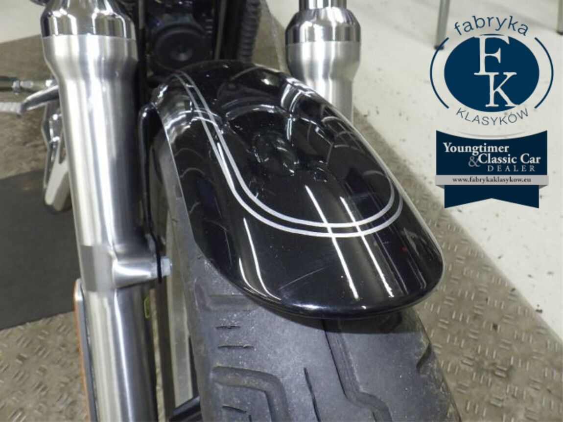 HARLEY-DAVIDSON XL1200LI 2010 - zdjęcie 17