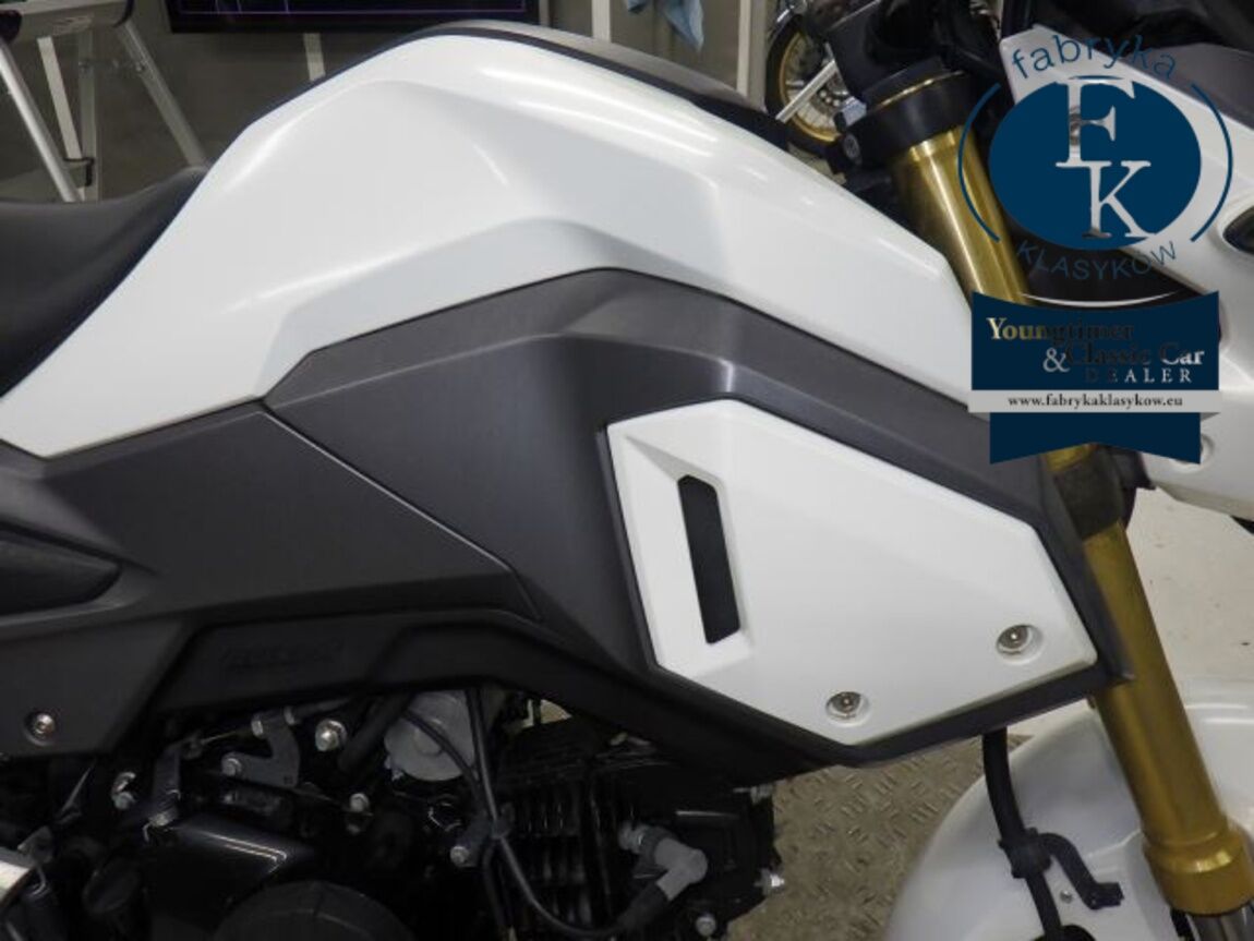 HONDA GU ROM  - zdjęcie 18