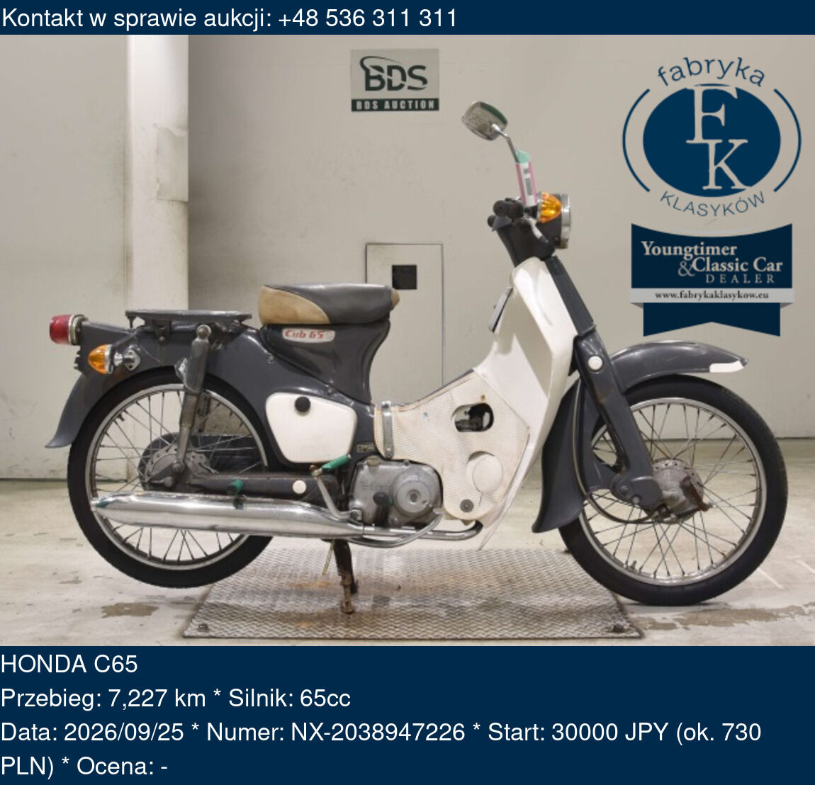 HONDA C65  - zdjęcie 2