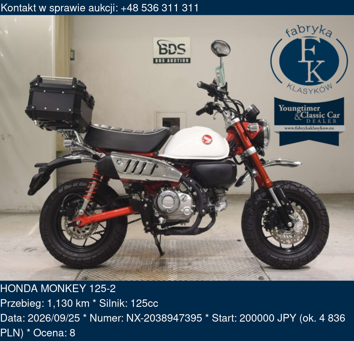 HONDA MONKEY 125-2  - zdjęcie 2
