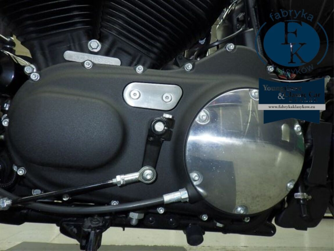 HARLEY-DAVIDSON XL1200X 2022 - zdjęcie 12