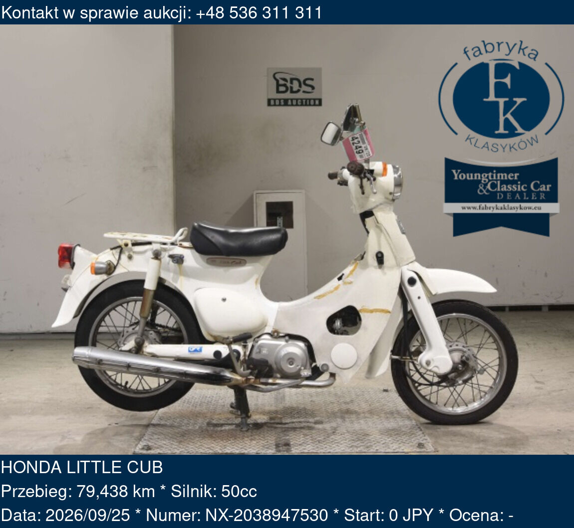HONDA LITTLE CUB  - zdjęcie 2