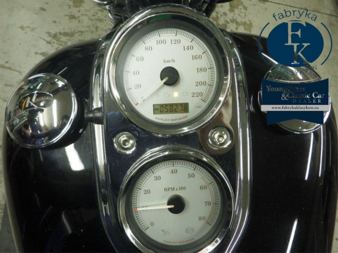 HARLEY-DAVIDSON FXDL1580 2011 - zdjęcie 13