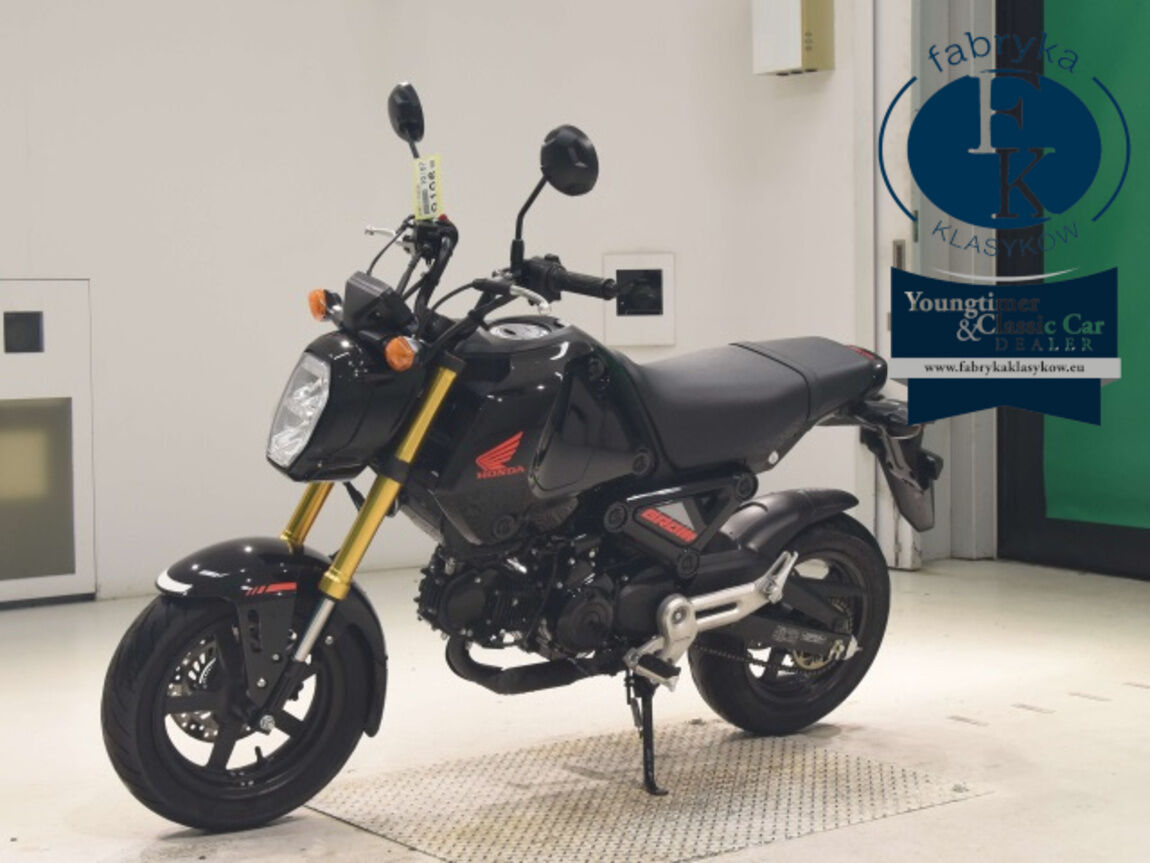 HONDA GU ROM -2  - zdjęcie 5