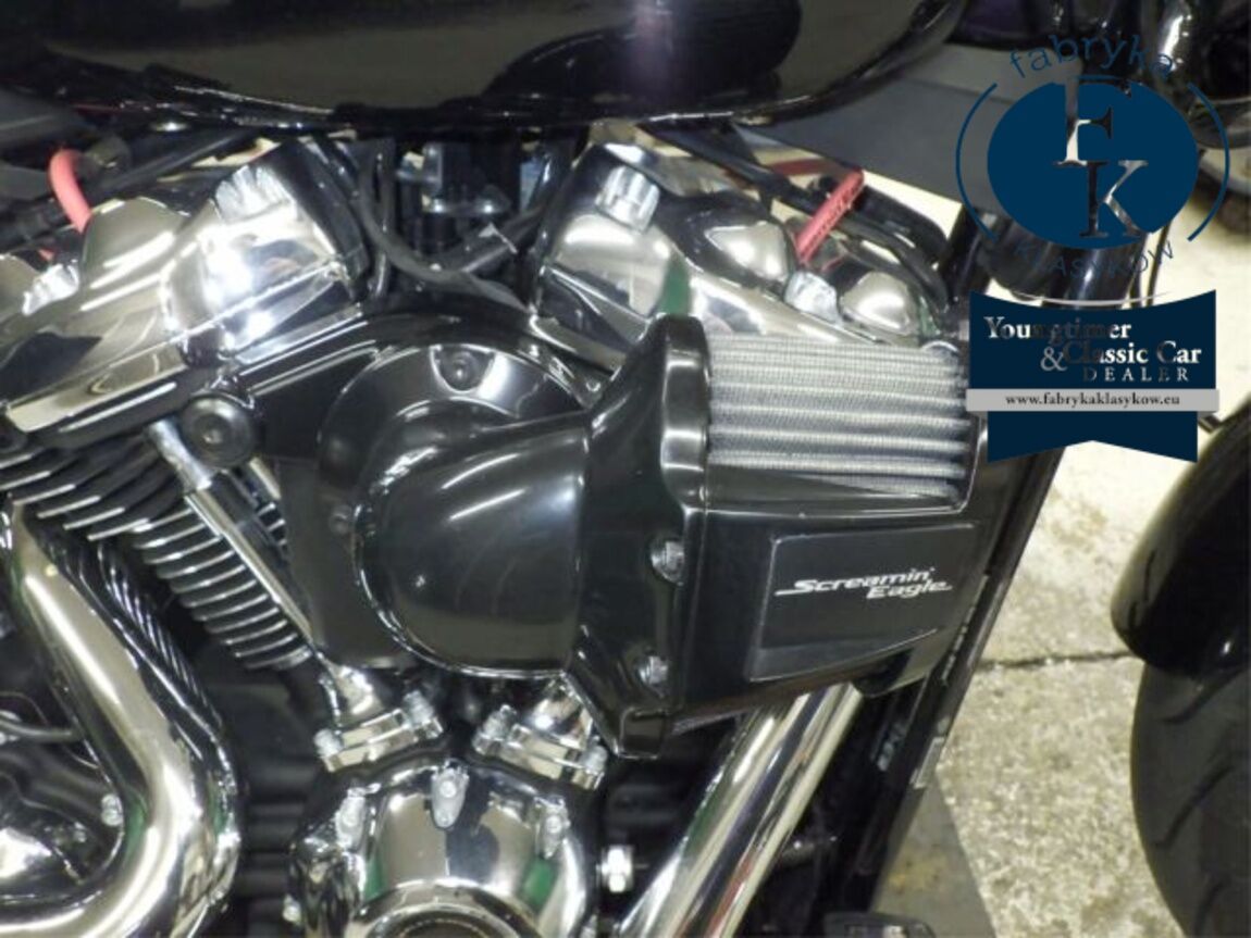 HARLEY-DAVIDSON FXBRS1870 2021 - zdjęcie 11