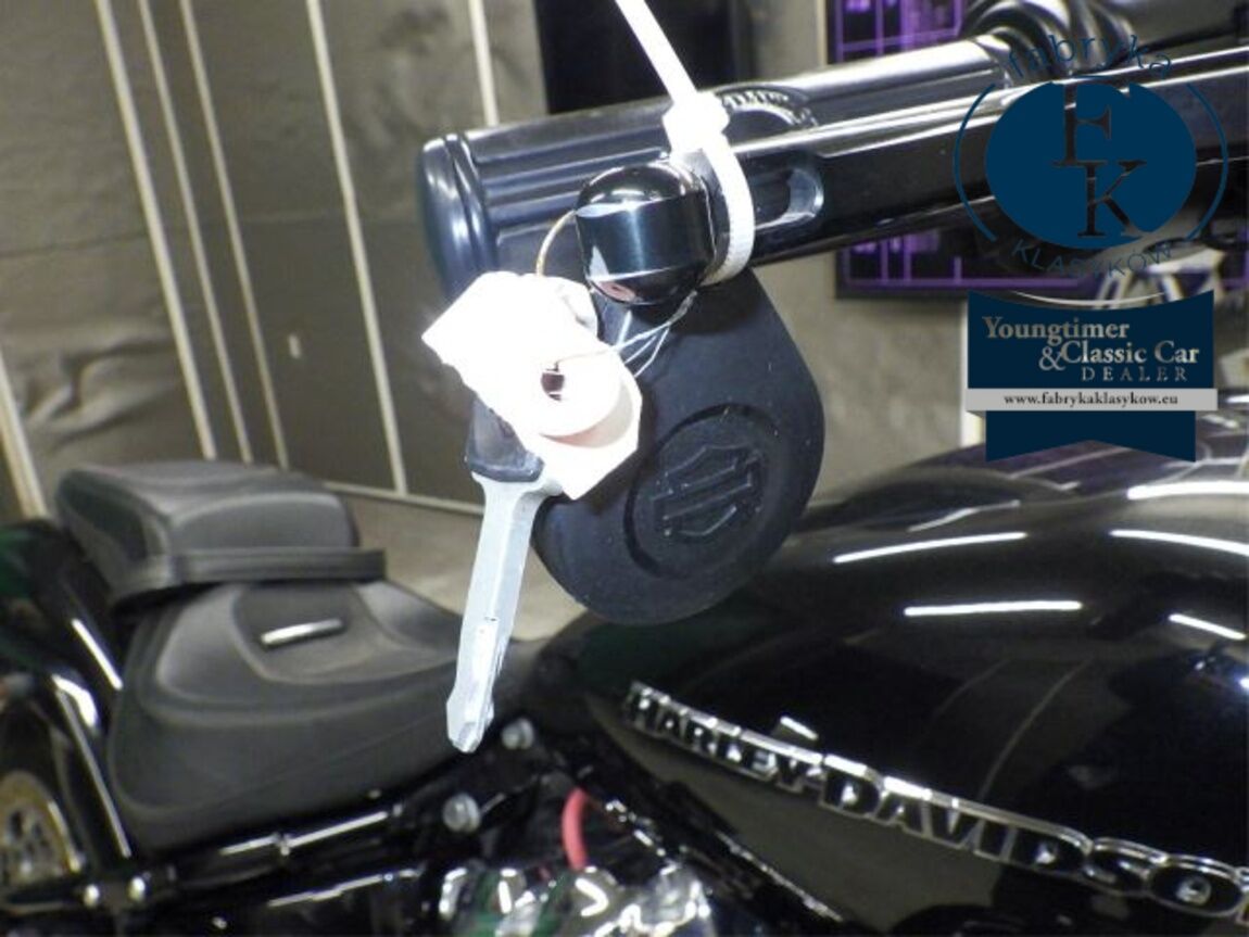 HARLEY-DAVIDSON FXBRS1870 2021 - zdjęcie 14