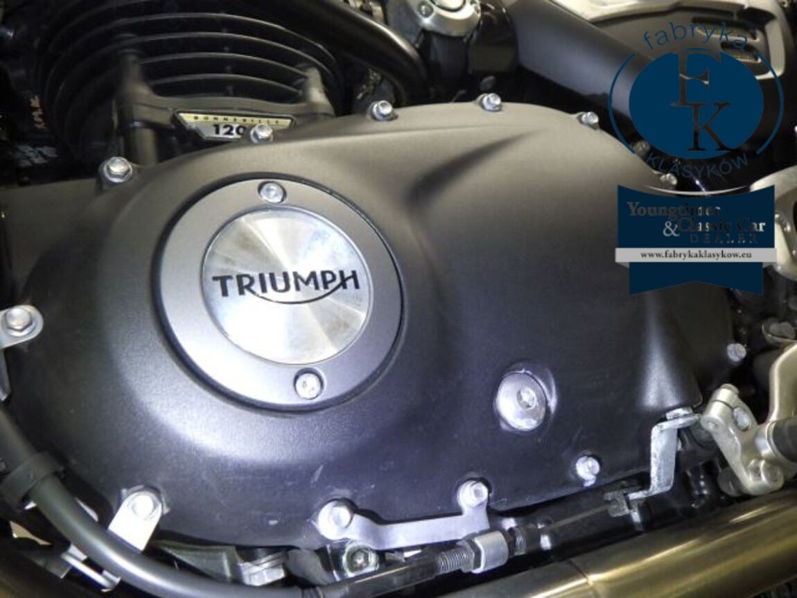 TRIUMPH SPEED TWIN 2024 - zdjęcie 11