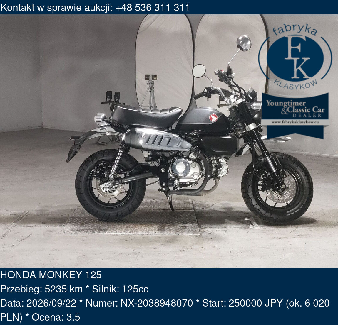 HONDA MONKEY 125  - zdjęcie 2
