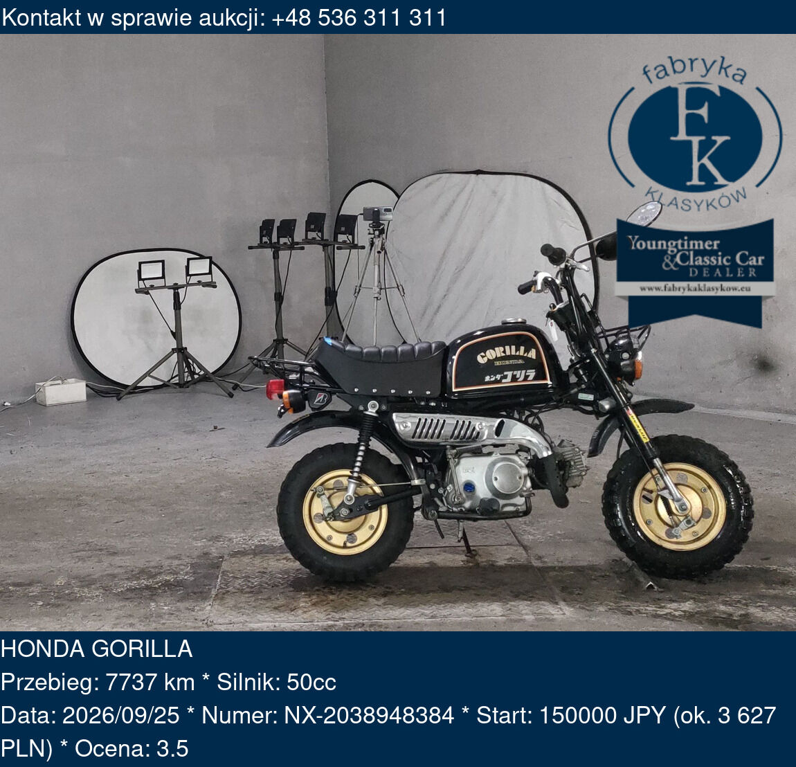 HONDA GORILLA  - zdjęcie 2
