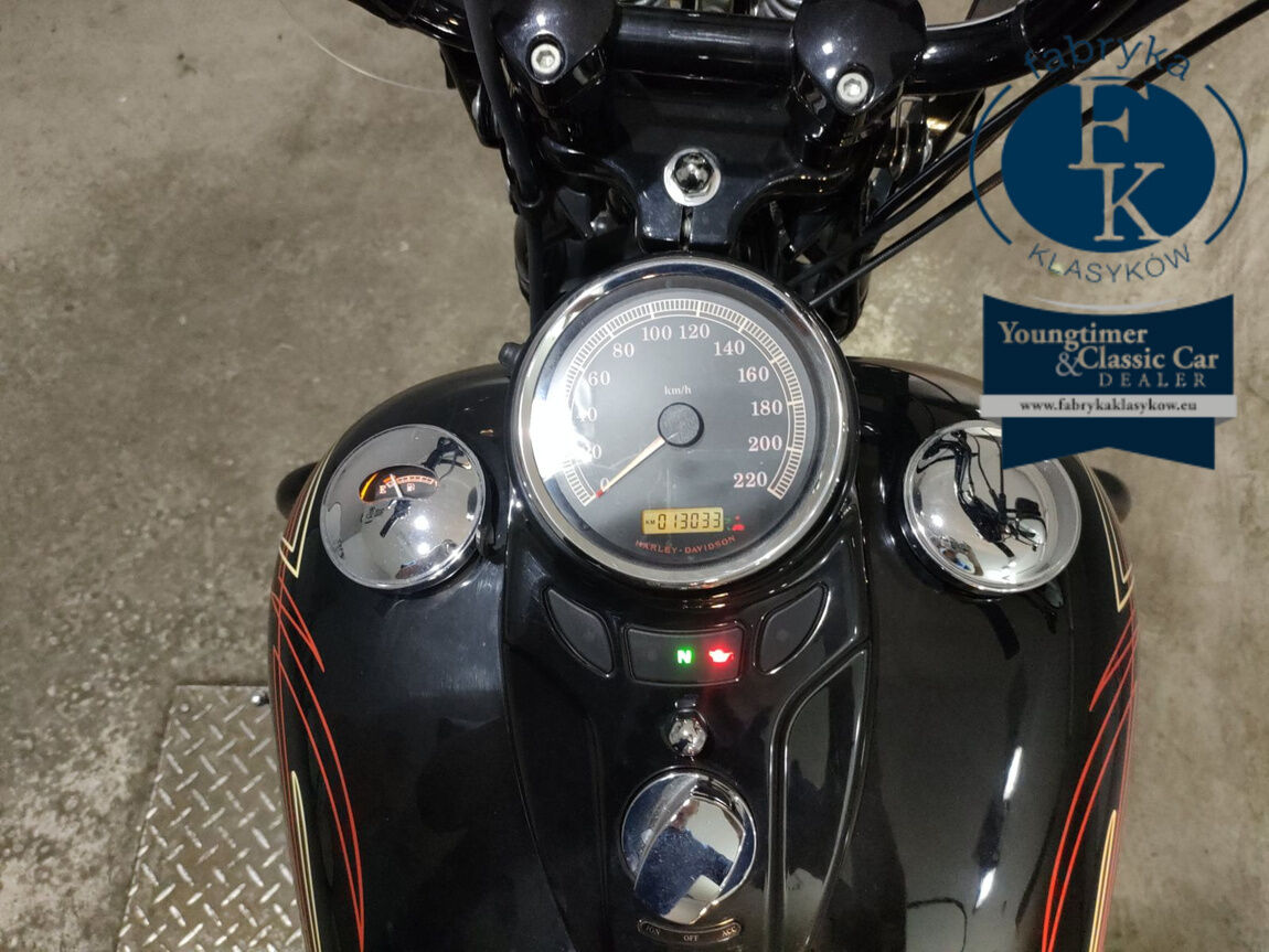 HARLEY-DAVIDSON FLSTSB1580 2010 - zdjęcie 6