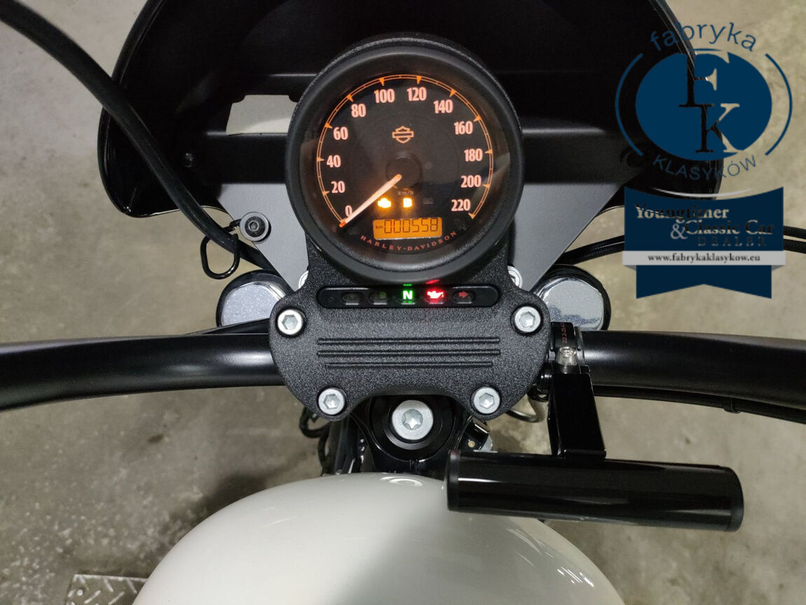 HARLEY-DAVIDSON XL1200NS 2019 - zdjęcie 6
