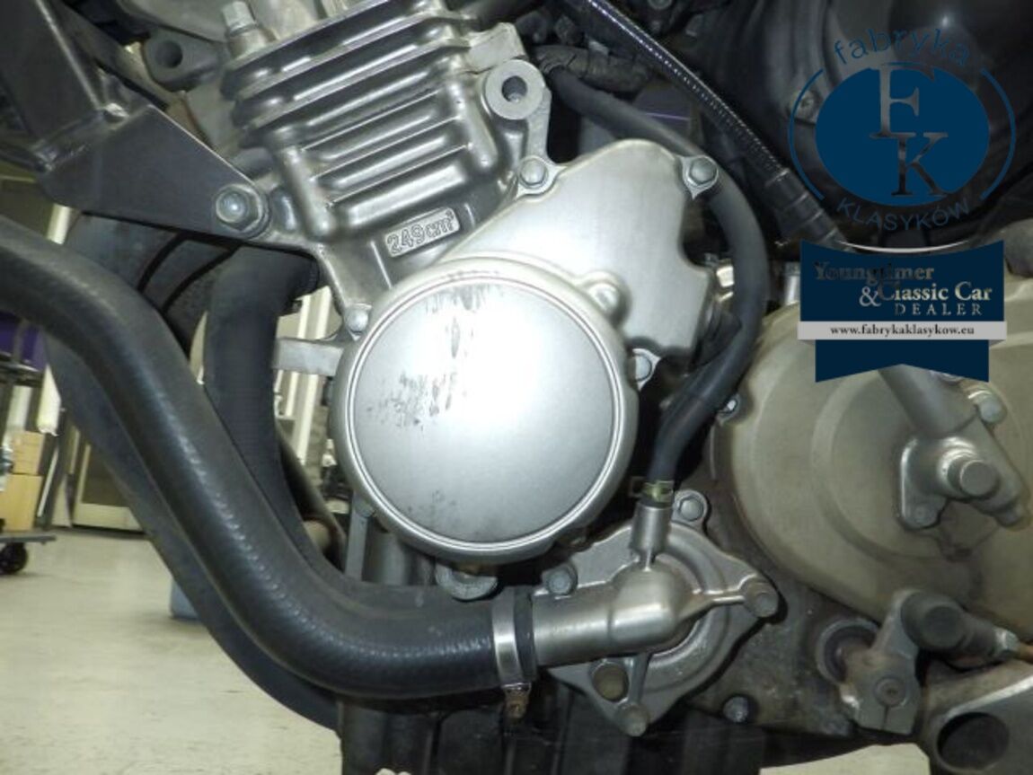HONDA HORNET250  - zdjęcie 12