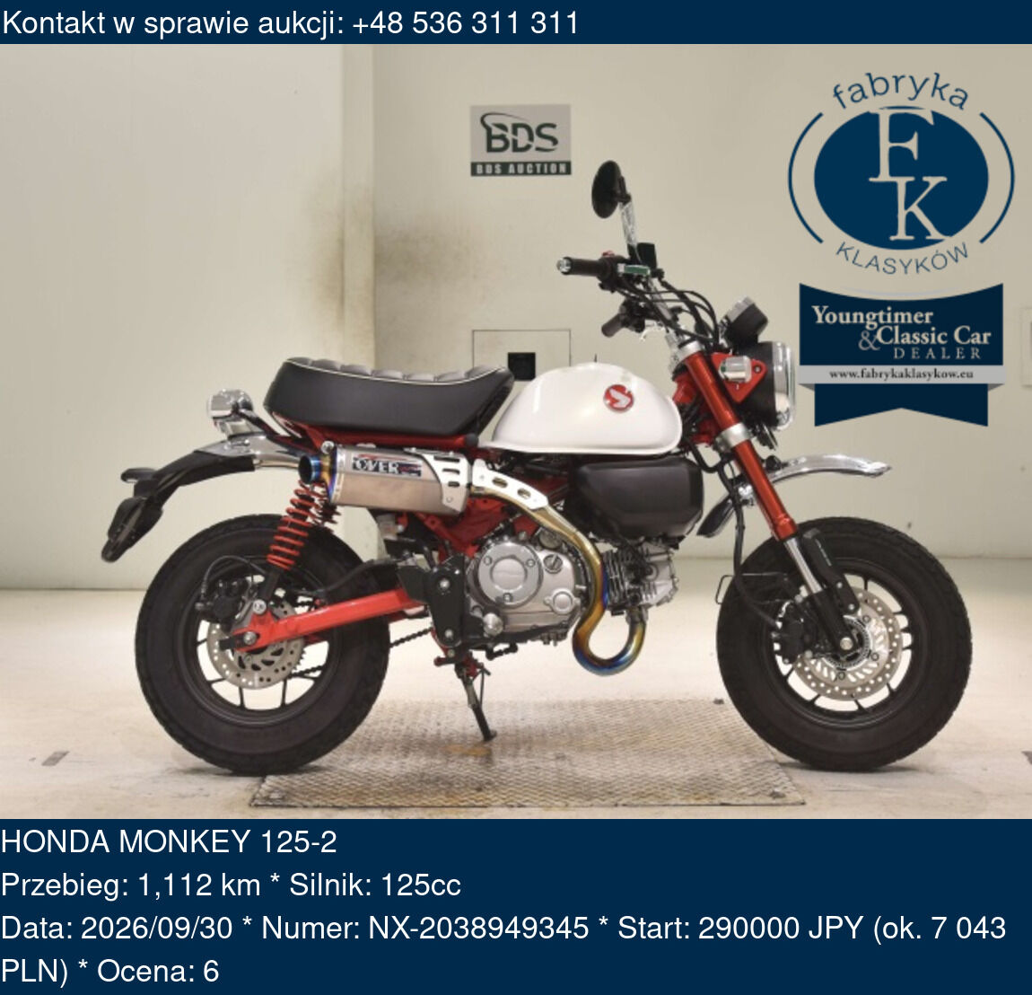 HONDA MONKEY 125-2 - zdjęcie 2