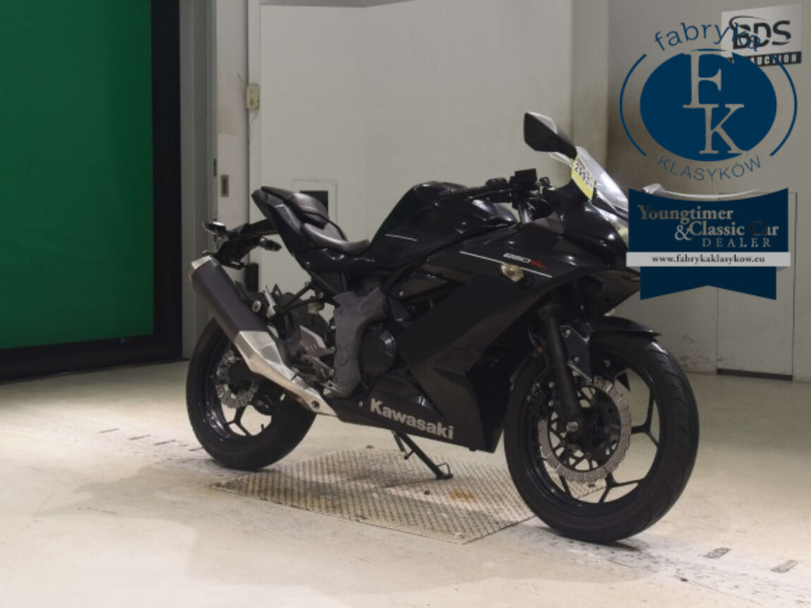 KAWASAKI NINJA250SL - zdjęcie 4