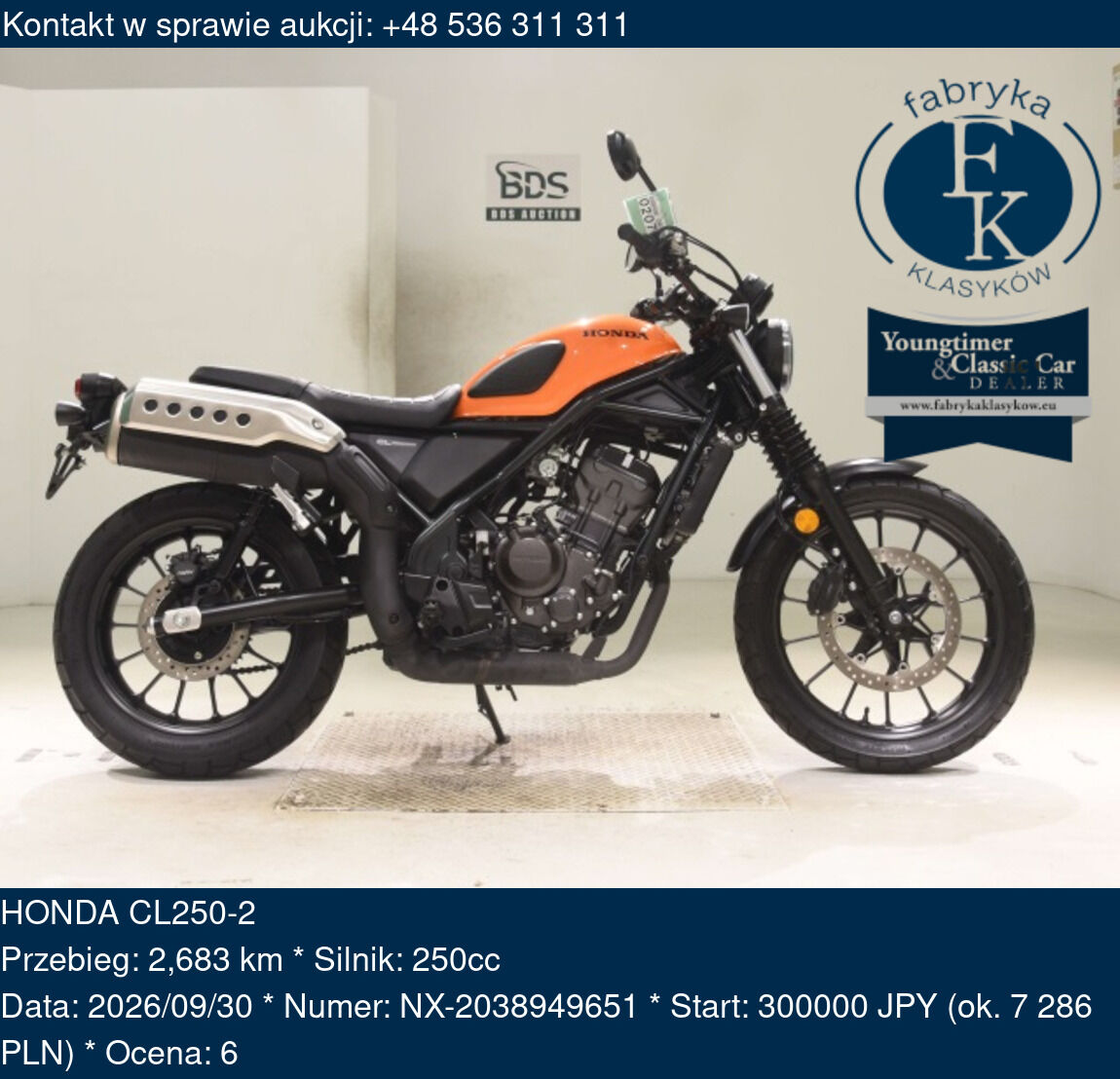 HONDA CL250-2  - zdjęcie 2