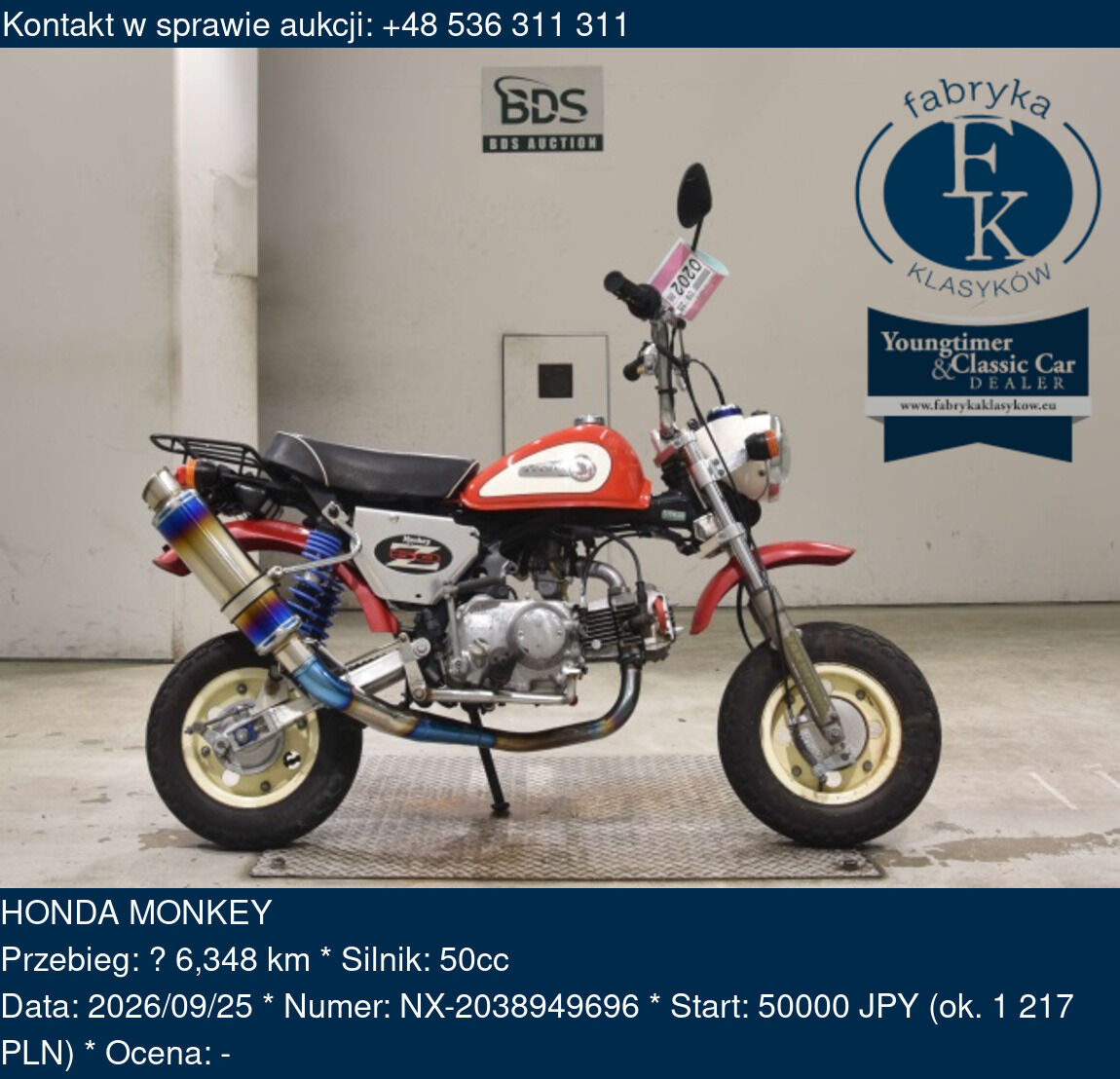 HONDA MONKEY  - zdjęcie 2