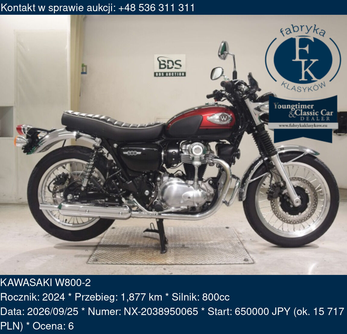 KAWASAKI W800-2 2024 - zdjęcie 2