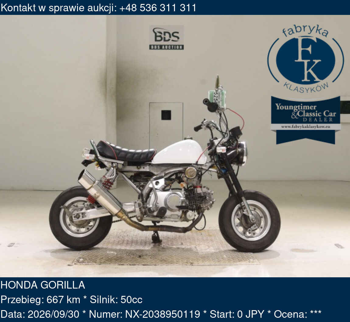 HONDA GORILLA  - zdjęcie 2