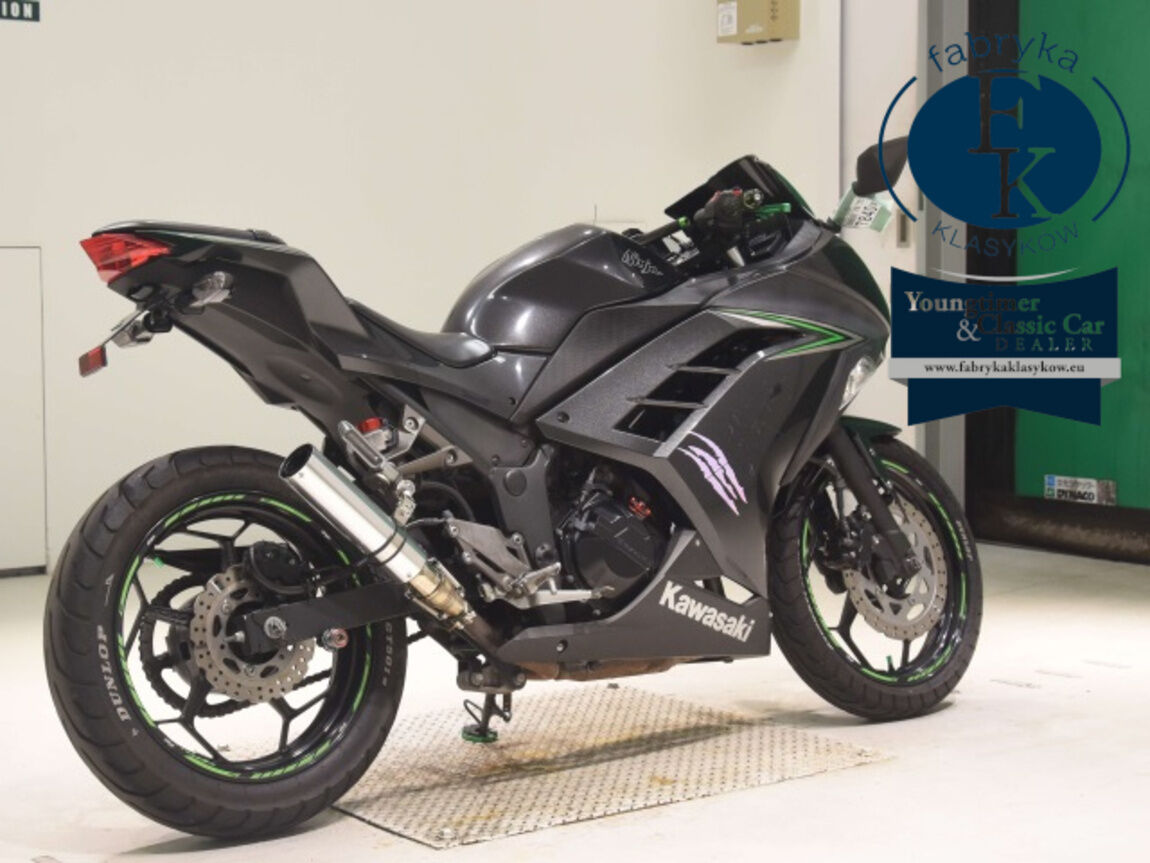 KAWASAKI NINJA250  - zdjęcie 6