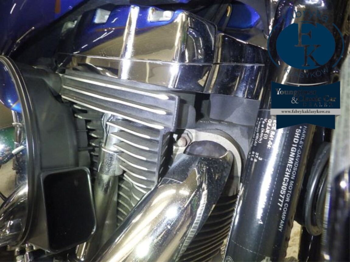 HARLEY-DAVIDSON FXDL1690 2016 - zdjęcie 11