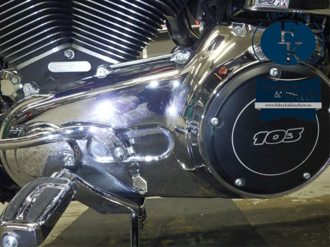 HARLEY-DAVIDSON FXDL1690 2016 - zdjęcie 12