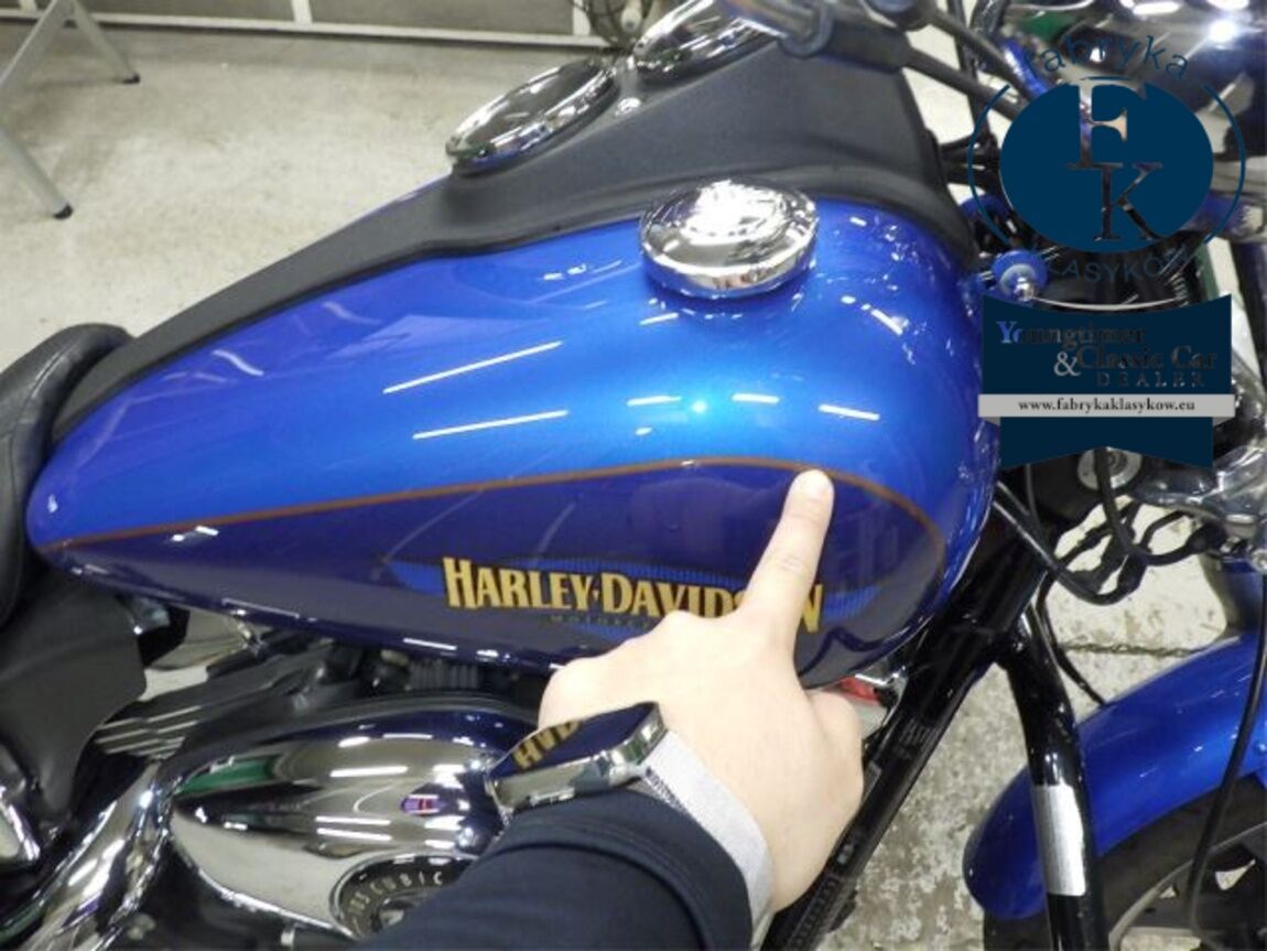 HARLEY-DAVIDSON FXDL1690 2016 - zdjęcie 19