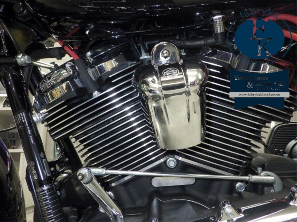 HARLEY-DAVIDSON FLHT1750 2020 - zdjęcie 11