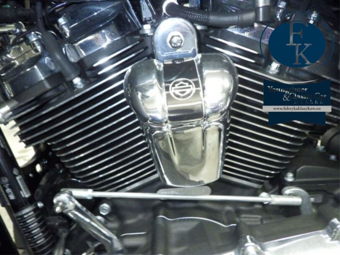 HARLEY-DAVIDSON FLHTCUTG1870 2025 - zdjęcie 10