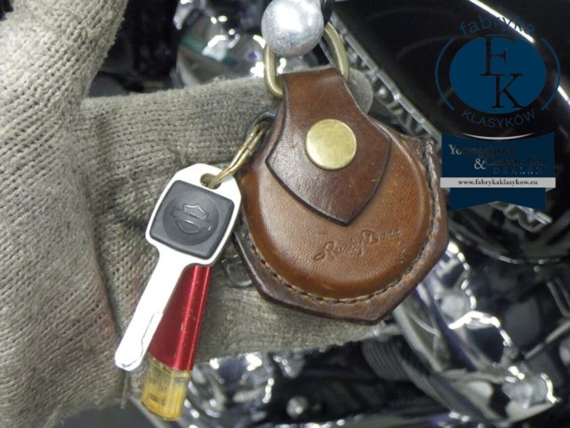 HARLEY-DAVIDSON FXBRS1870 2021 - zdjęcie 14