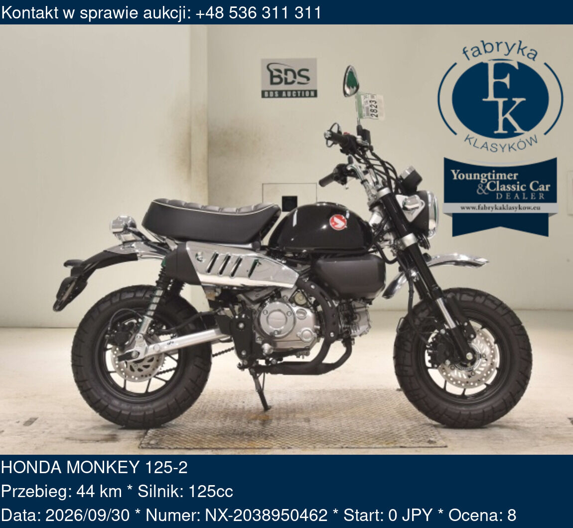 HONDA MONKEY 125-2 - zdjęcie 2
