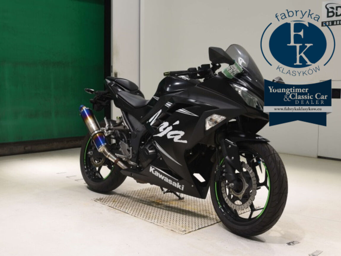 KAWASAKI NINJA250  - zdjęcie 4