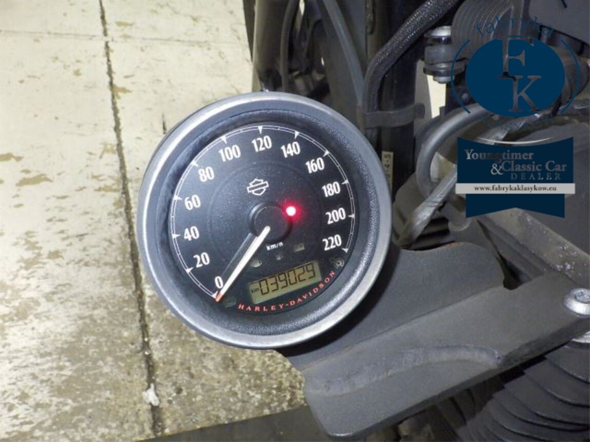HARLEY-DAVIDSON XL883N 2015 - zdjęcie 13