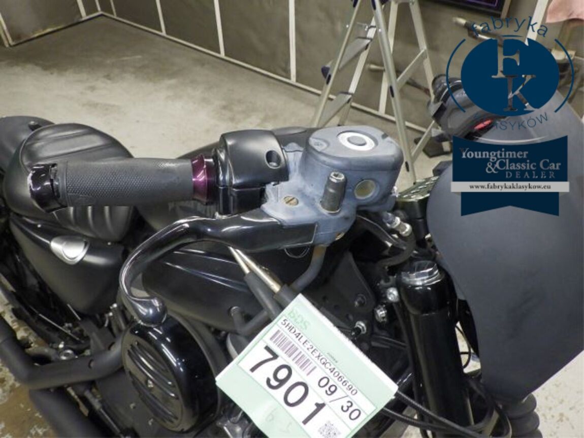 HARLEY-DAVIDSON XL883N 2015 - zdjęcie 23